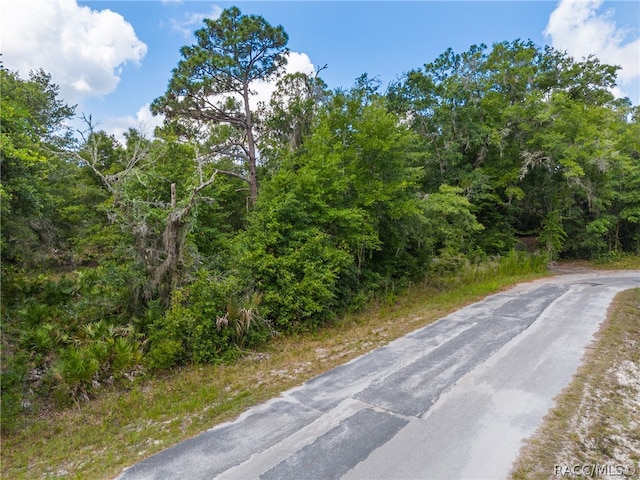 12180 W Olive Tree Ln, Crystal River FL, 34428 land for sale