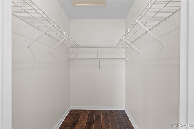 spacious closet featuring dark hardwood / wood-style flooring