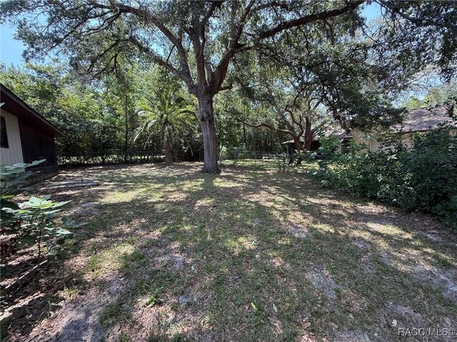 2098 W Deer Trail Ln, Lecanto, FL 34461 - view of fenced backyard