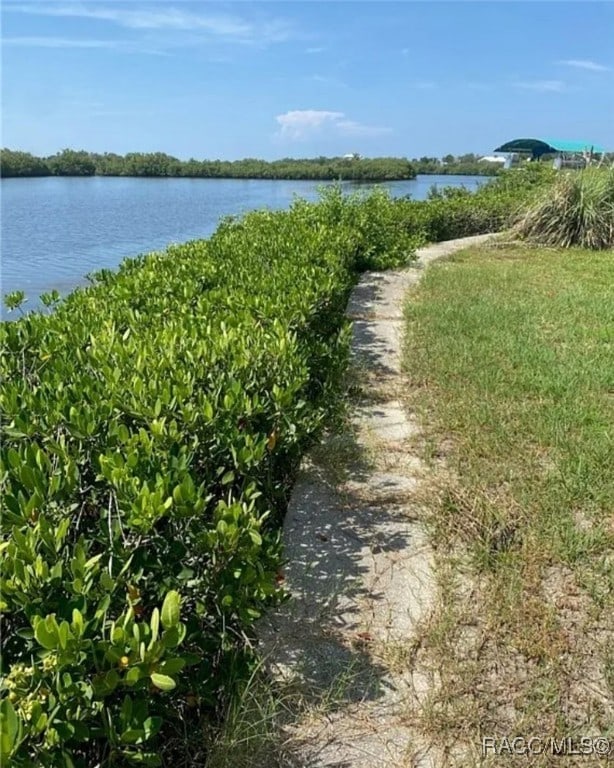 property view of water