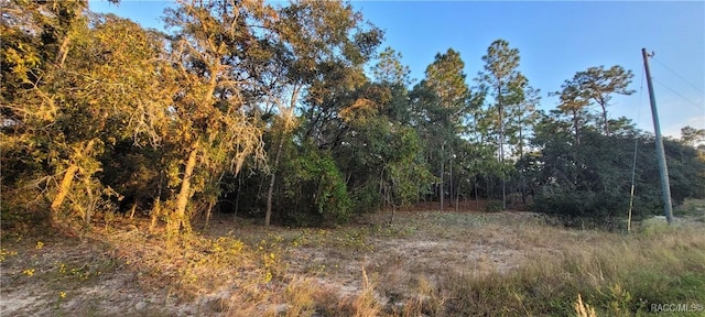 11377 N Kenney Loop, Citrus Springs FL, 34434 land for sale