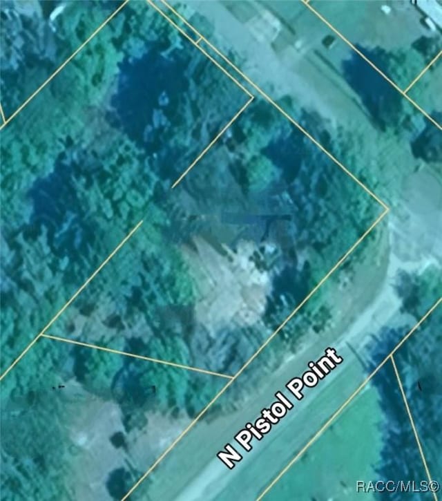 4360 E Nugget Pass Pl, Dunnellon, FL 34434