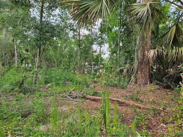4360 E Nugget Pass Pl, Dunnellon, FL 34434