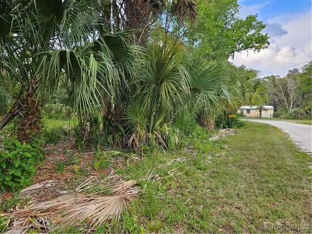 4360 E Nugget Pass Pl, Dunnellon, FL 34434