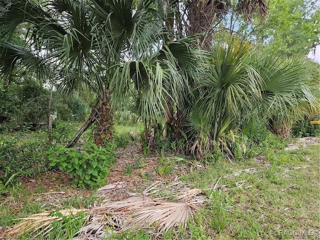 4360 E Nugget Pass Pl, Dunnellon, FL 34434