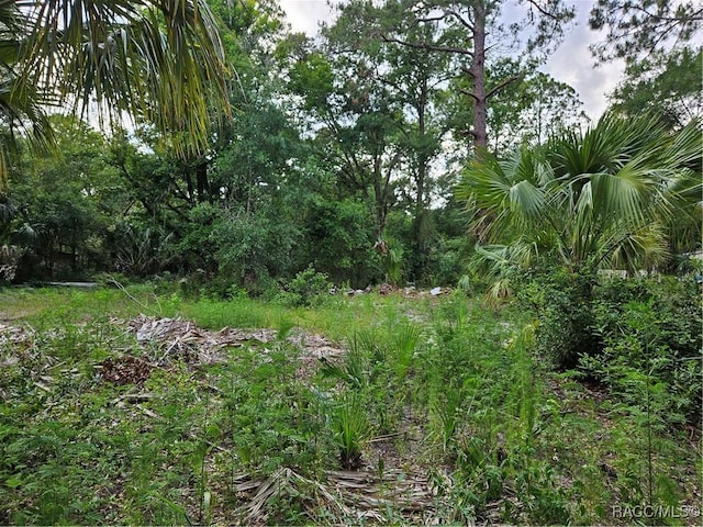 4360 E Nugget Pass Pl, Dunnellon, FL 34434