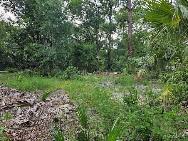 4360 E Nugget Pass Pl, Dunnellon, FL 34434