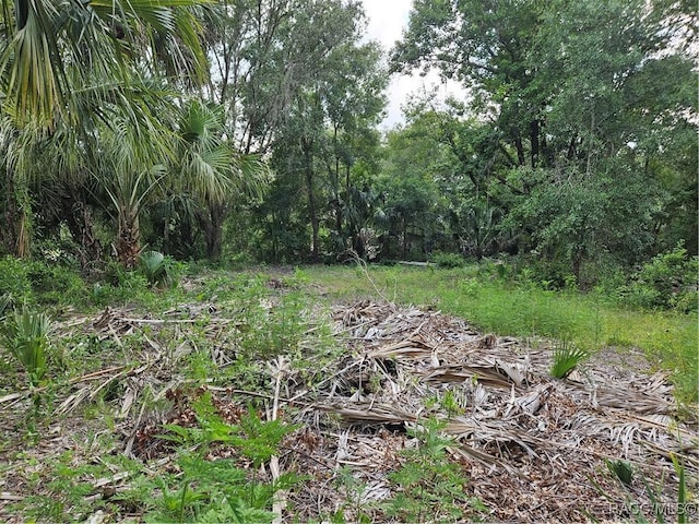 4360 E Nugget Pass Pl, Dunnellon, FL 34434