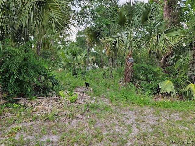 4360 E Nugget Pass Pl, Dunnellon, FL 34434