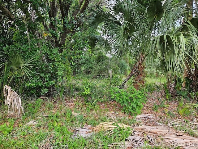 4360 E Nugget Pass Pl, Dunnellon, FL 34434