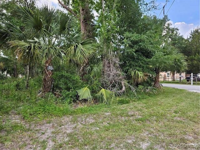 4360 E Nugget Pass Pl, Dunnellon, FL 34434