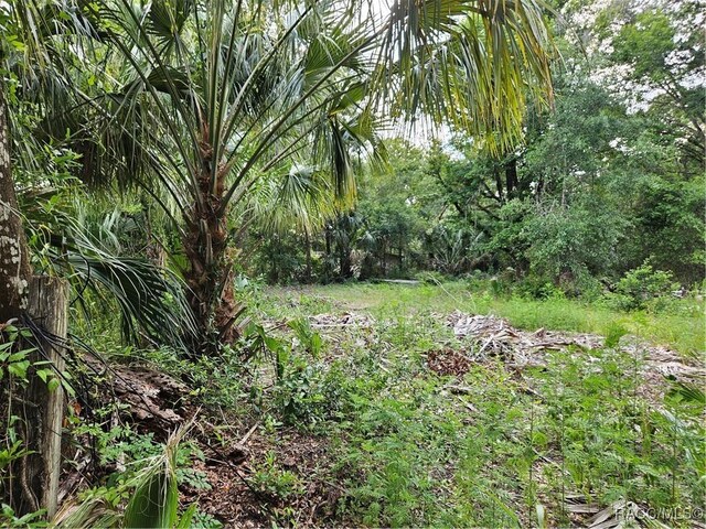 4360 E Nugget Pass Pl, Dunnellon, FL 34434