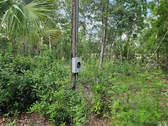 4360 E Nugget Pass Pl, Dunnellon, FL 34434
