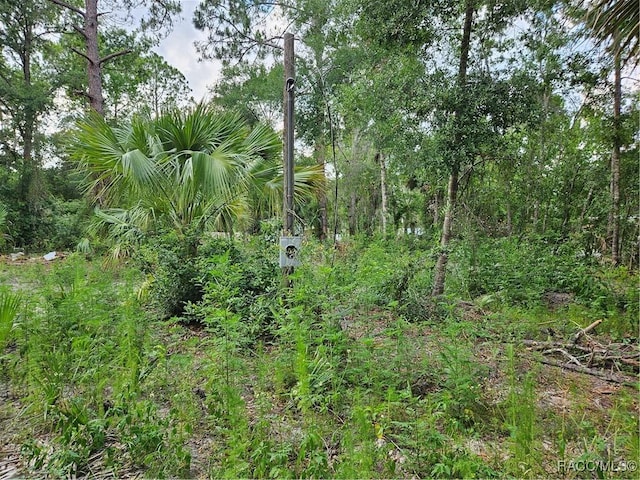 4360 E Nugget Pass Pl, Dunnellon, FL 34434