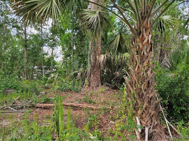 4360 E Nugget Pass Pl, Dunnellon, FL 34434