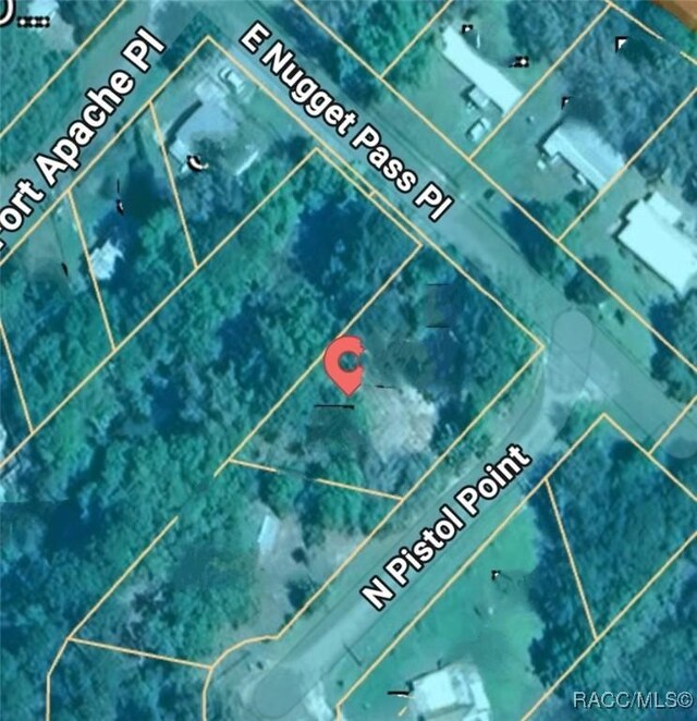 4360 E Nugget Pass Pl, Dunnellon, FL 34434