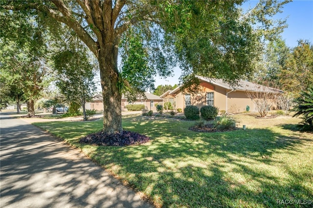 view of front of property with a front yard