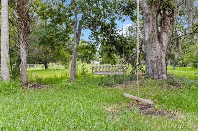 159 NE 9th St, Crystal River, FL 34428 - photo 31