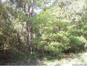 1043 N Beatrice Ter, Inverness FL, 34453 land for sale