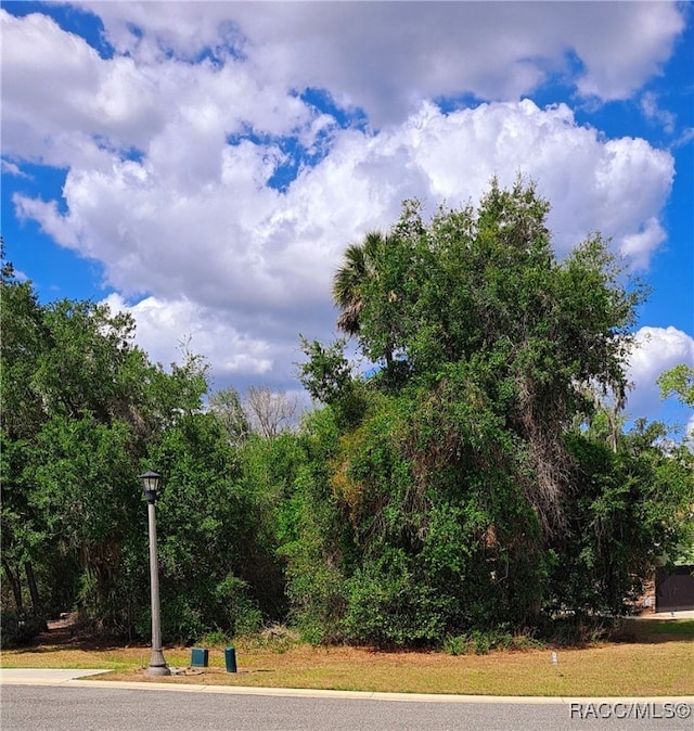 470 W Cobblestone Loop, Hernando FL, 34442 land for sale