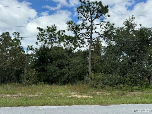 Listing photo 3 for 3059 E Murray St, Inverness FL 34453