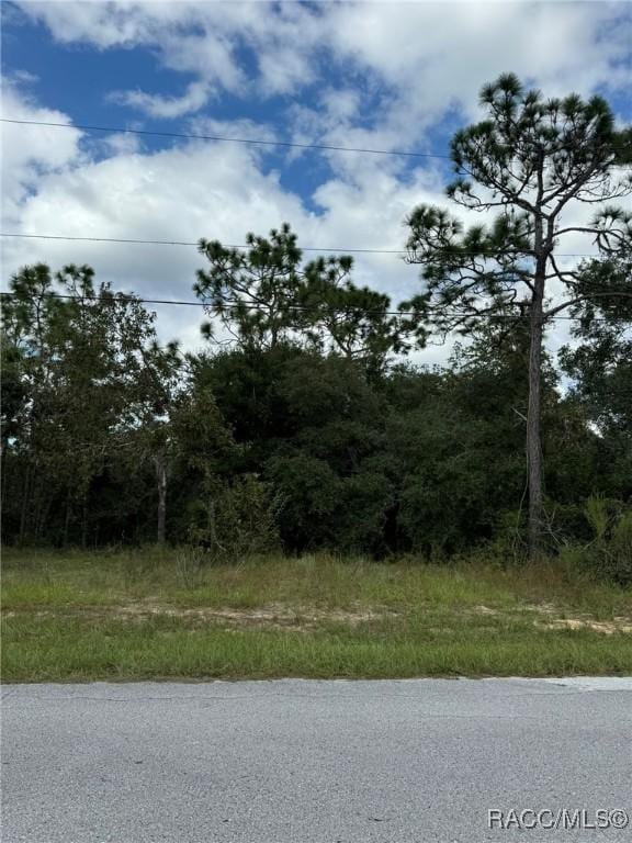 3059 E Murray St, Inverness FL, 34453 land for sale