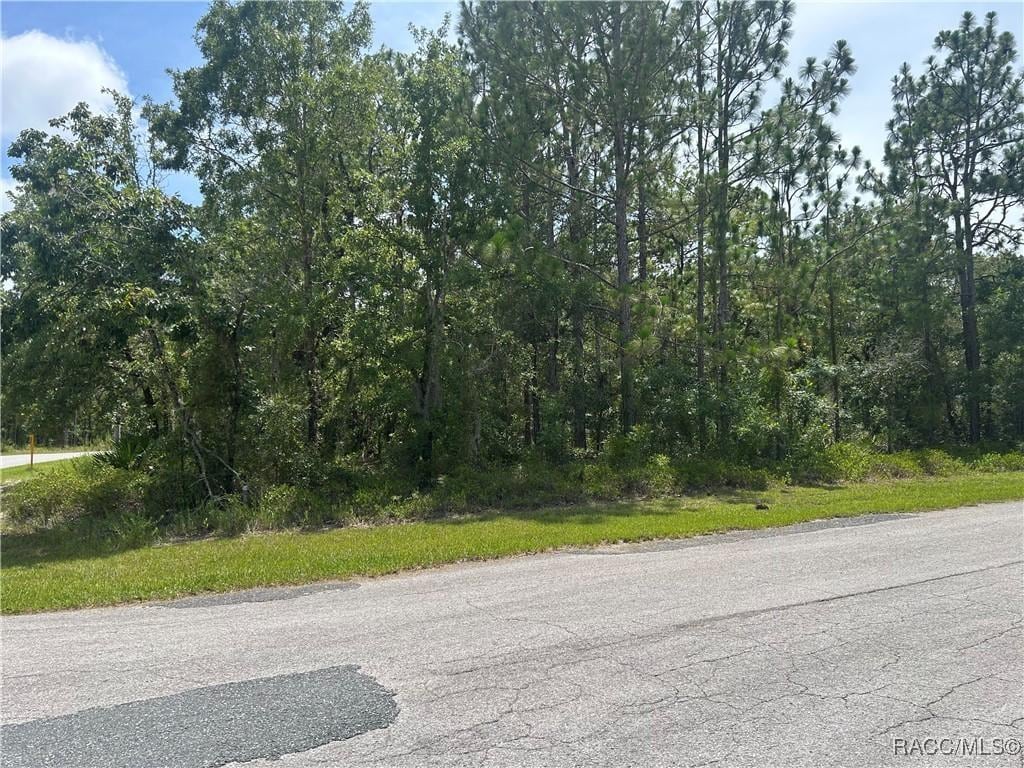 1 Gloxinias Ct, Homosassa, FL 34446 - photo 1