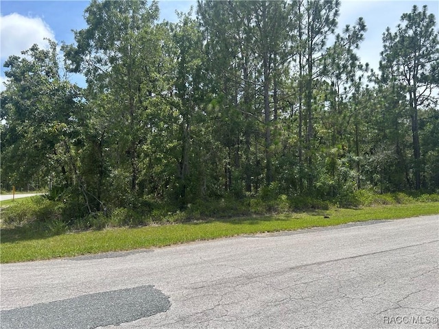 1 Gloxinias Ct, Homosassa, FL 34446 - photo 1