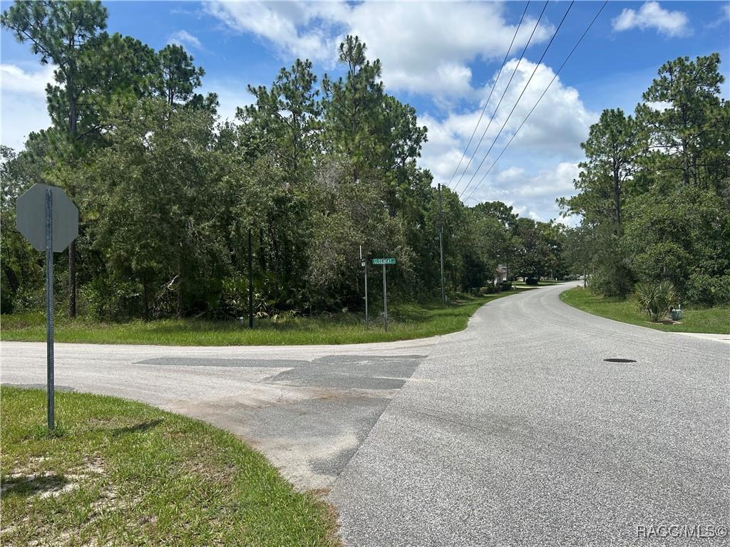 1 Gloxinias Ct, Homosassa, FL 34446 - photo 2