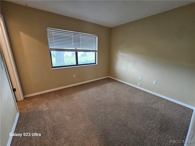 empty room featuring carpet