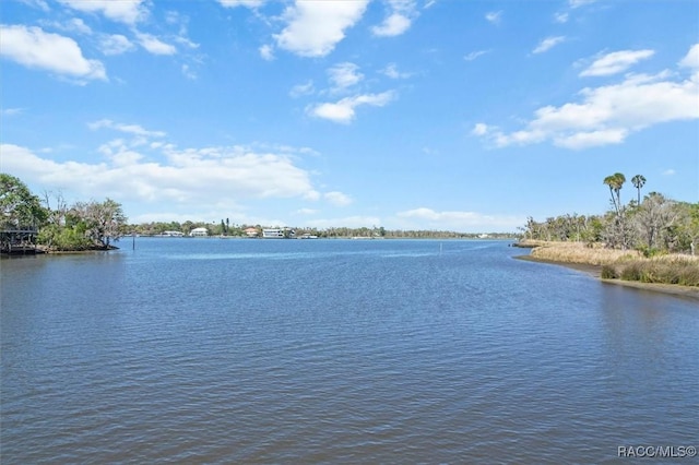 356 NW 14th Pl, Crystal River, FL 34428 - photo 40