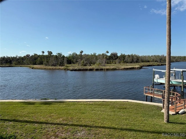 356 NW 14th Pl, Crystal River, FL 34428 - photo 41