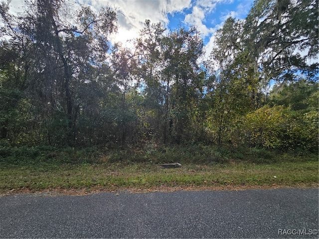 893 E Abend Dr, Citrus Springs FL, 34434 land for sale