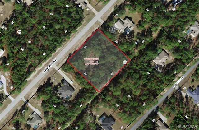 5448 W Pine Ridge Blvd, Beverly Hills, FL 34465 - photo 3
