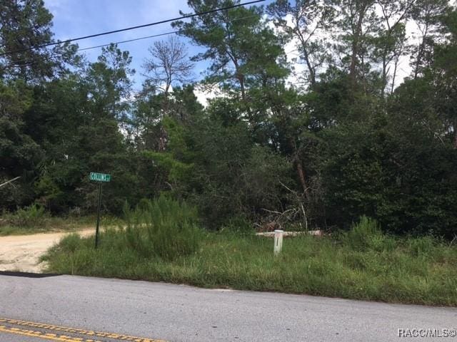 1443 S Border Ave, Inverness FL, 34452 land for sale