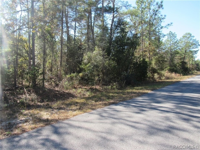 Listing photo 2 for 0000 SW Beaver Dr, Dunnellon FL 34431