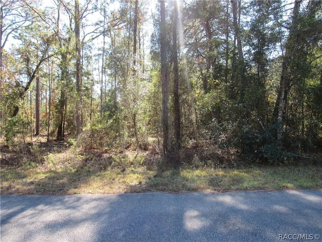 Listing photo 3 for 0000 SW Beaver Dr, Dunnellon FL 34431