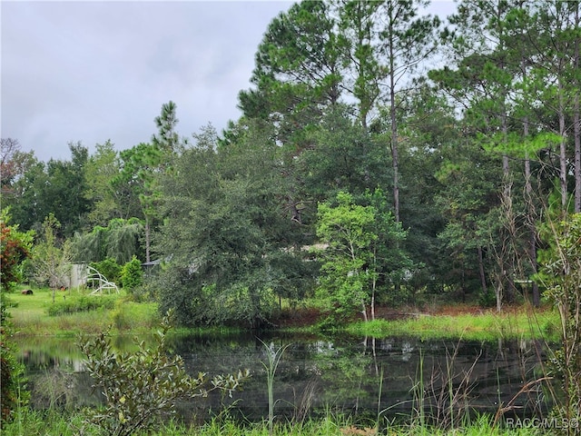 Listing photo 2 for 3196 N Quarterhorse Ter, Crystal River FL 34428