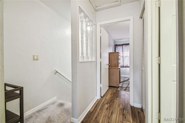 hallway featuring dark wood-type flooring