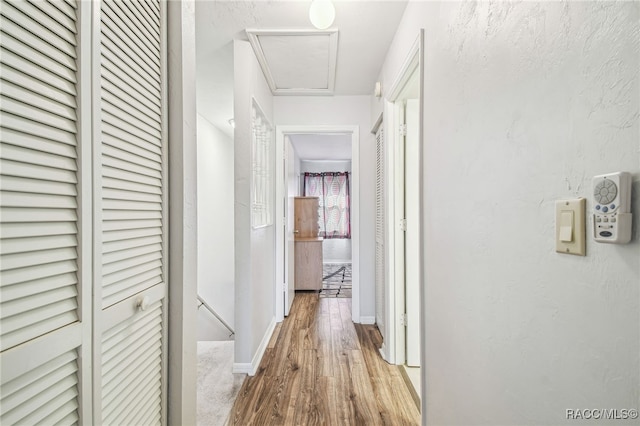 corridor with light wood-type flooring