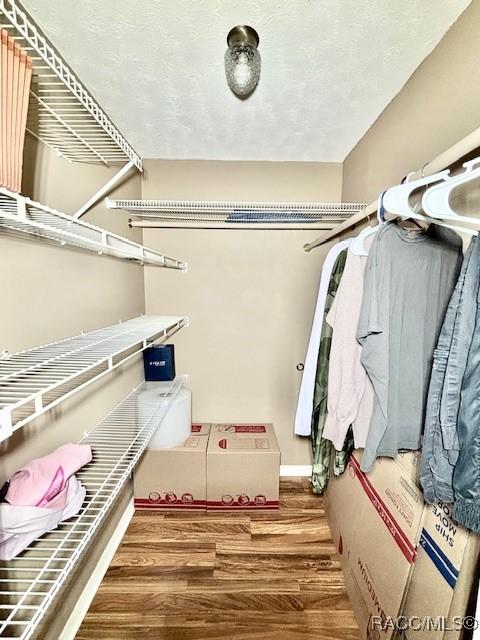 spacious closet featuring wood finished floors