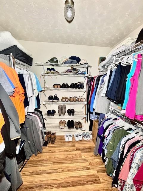 spacious closet with wood finished floors