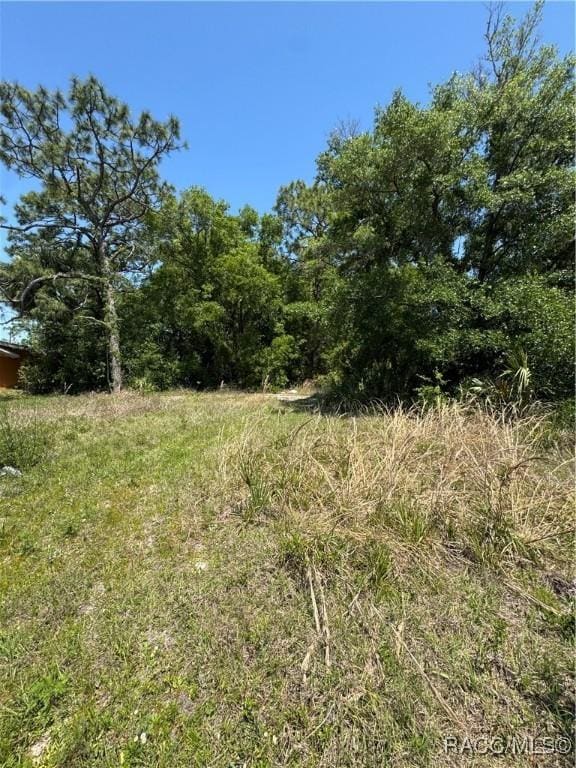 6661 W Gannet Pl, Crystal River, FL 34429 - photo 1