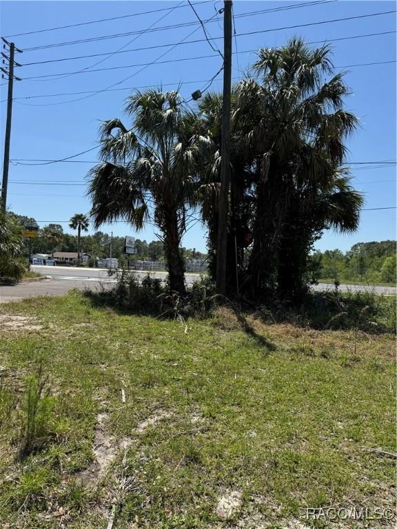 6661 W Gannet Pl, Crystal River, FL 34429 - photo 3
