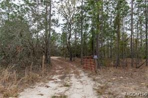 3057 W Scooter Ln, Dunnellon FL, 34433 land for sale