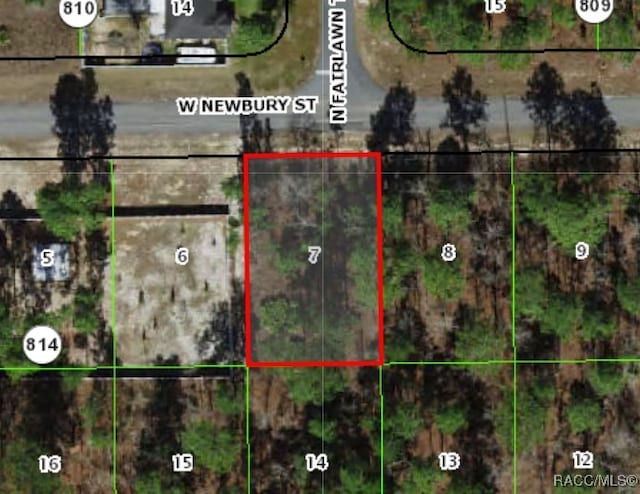 1356 W Newbury St, Citrus Springs FL, 34434 land for sale