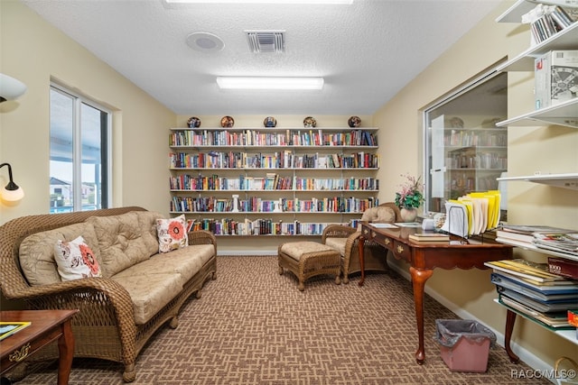 living area featuring carpet and a textured ceiling