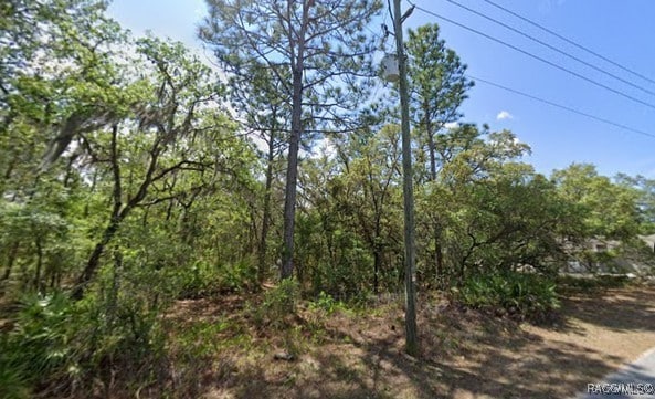 160 Daisy St, Homosassa FL, 34446 land for sale