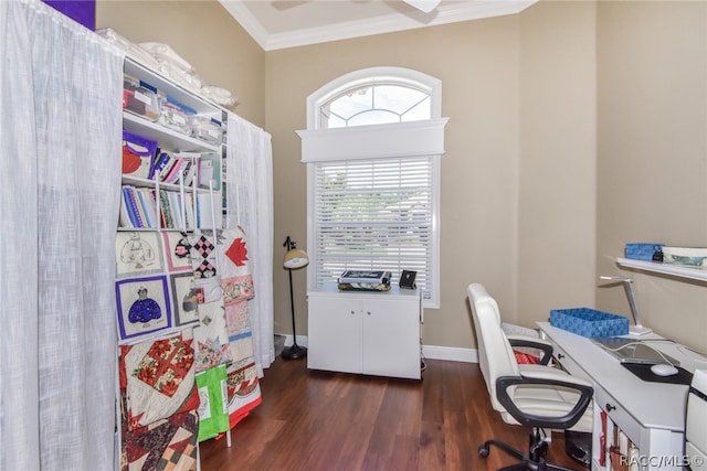 office featuring dark wood-type flooring and ornamental molding