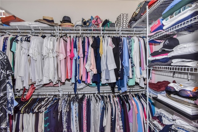 view of spacious closet